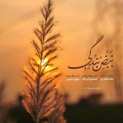 دانلود آهنگ نبض بندگی‌